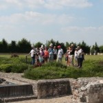 visite_guidée_jardin_été