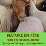 Nature en fête à Gisacum : Mercredi 10 juin 2026