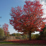 Rendez-vous d&rsquo;automne : Nature, bien-être et création : samedi 24 octobre de 10h00 à 18h00 Gratuit
