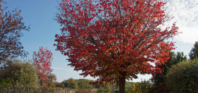 Rendez-vous d&rsquo;automne : Nature, bien-être et création : samedi 24 octobre de 10h00 à 18h00 Gratuit
