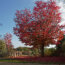 Rendez-vous d&rsquo;automne : Nature, bien-être et création : samedi 24 octobre de 10h00 à 18h00 Gratuit