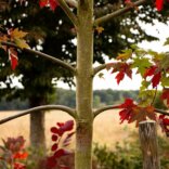 Vacances d&rsquo;automne à Gisacum : du 17 octobre au 1er novembre