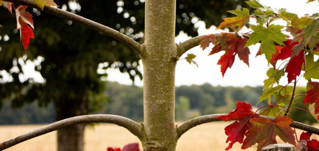 Vacances d&rsquo;automne à Gisacum : du 17 octobre au 1er novembre